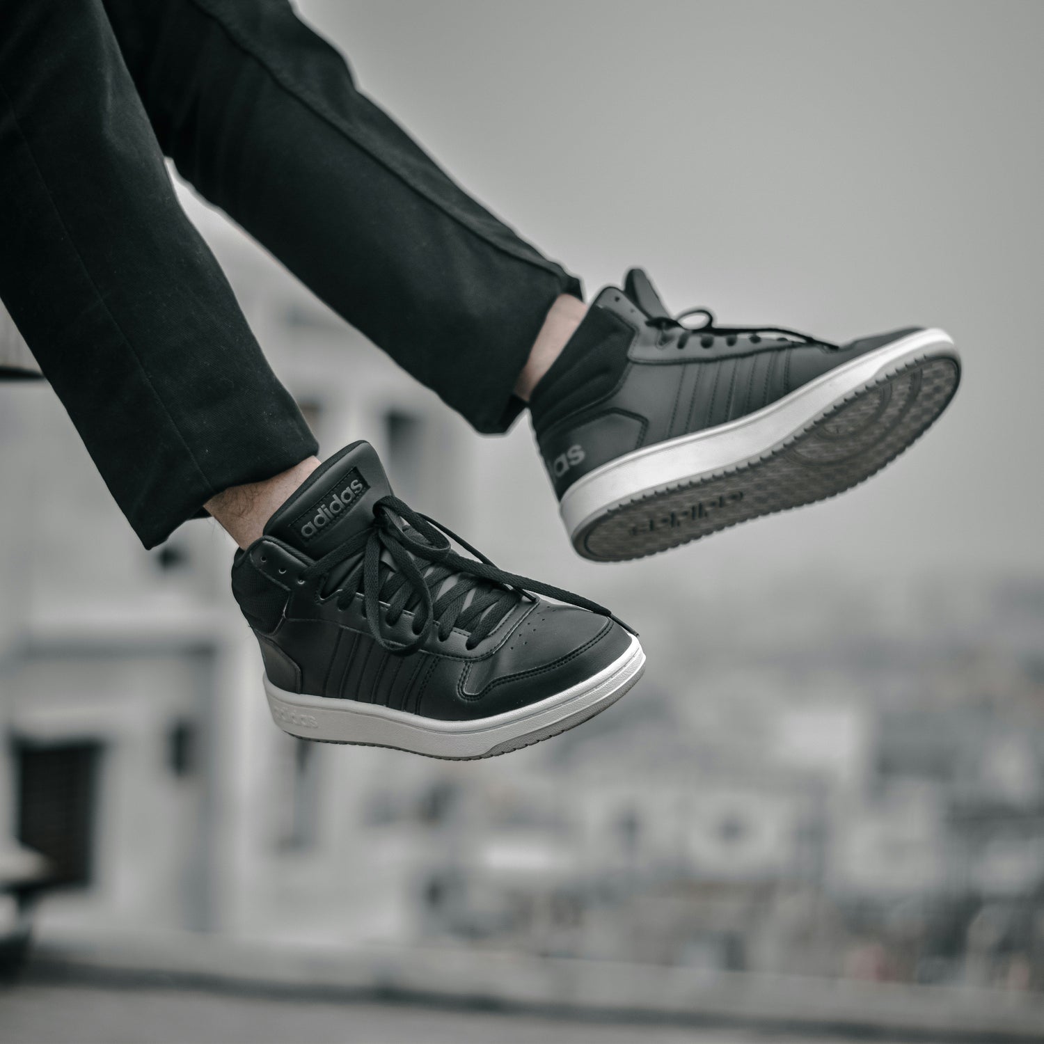 Tenis