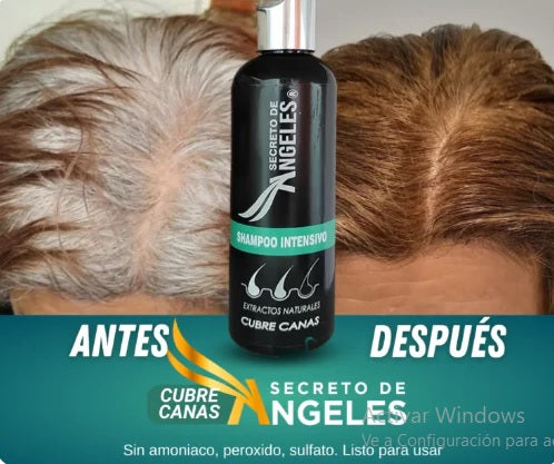 Shampoo Cubrecanas + Splas Capilar + Resve C